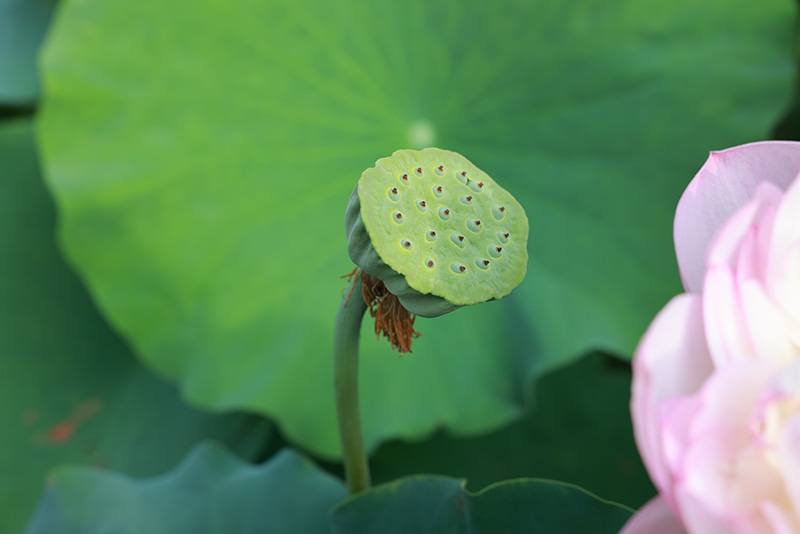 管家婆免费最新大全